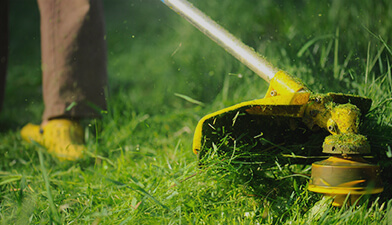 Lawn mowing and online gardening services
