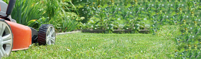 garden maintenance Sydney garden maintenance Sydney